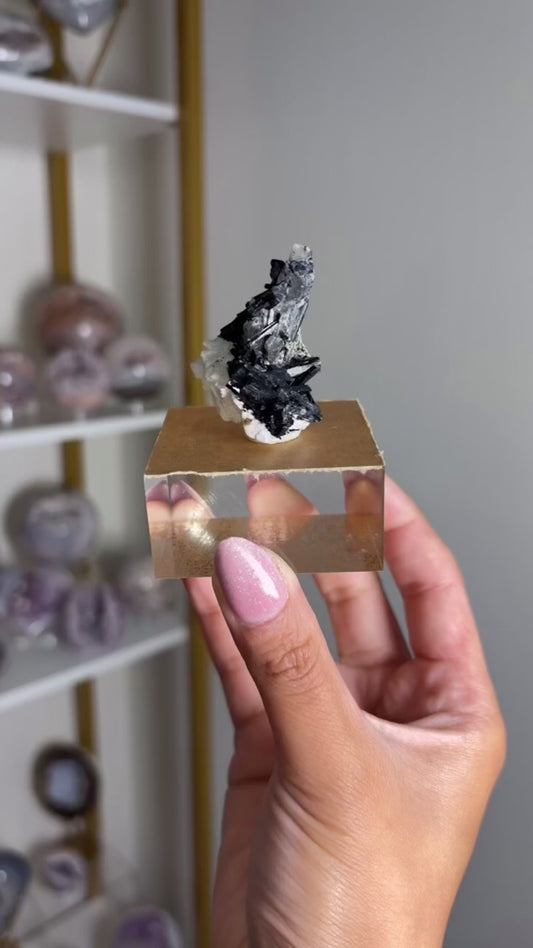 Black Tourmaline and Quartz Cluster