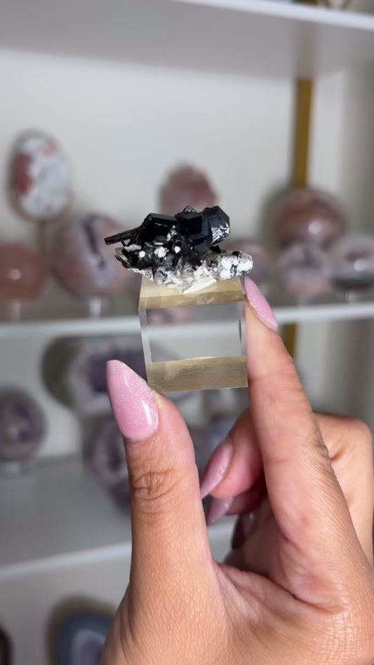 Black Tourmaline and Quartz Cluster