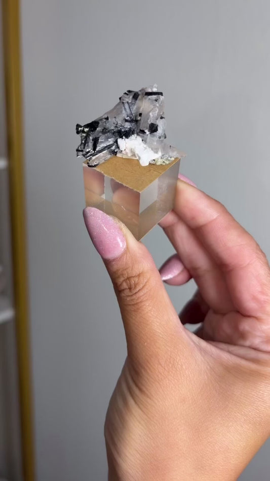 Black Tourmaline and Quartz Cluster